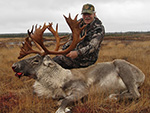 Successful Caribou Hunt For Jerry Scribner